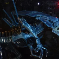 Alien Queen Ultra Deluxe Boxed Figure 40th Anniversary - NECA